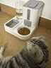 甜浪海自动喂食器猫碗猫咪饮水机狗狗吃饭喝水大容量投食器宠物粮食盆 实拍图