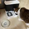licheers宠物自动喂食器饮水机自动喝水投食器猫碗储粮桶猫碗食盆饮水器 晒单实拍图
