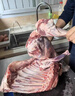 芈羊羊 宁夏滩羊肉生鲜 鲜切整半只羊羔净重10斤整发年货礼盒源头直发 实拍图