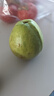 京觅白心芭乐 单果200g起 3斤礼盒装 土番石榴 年货节送礼 源头直发  实拍图