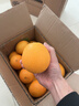 正宗赣南脐橙赣南特产橙子10斤20斤特级大果新鲜赣州脐橙京东包邮 20斤整箱 特级果【80-90mm】(推荐购买) 实拍图