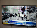 TCL雷鸟电视经济款 50雀4 25款 50英寸 莱茵护眼双认证 无开机广告 家电国家补贴电视50F195C 实拍图