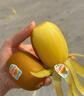 佳沛（zespri）新西兰  阳光金奇异果25-27粒原箱特大果单果约122-146g  猕猴桃 实拍图