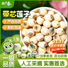 鲜丰春莲子带芯莲子一级无硫干货湘潭特新鲜级2025年货白莲子有芯300g 实拍图