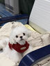 汤尼熊狗狗衣服秋冬无袖保暖毛衣雪纳瑞泰迪比熊保暖背心小型犬猫衣服 保暖加厚毛衣【红色-单耳小狗】 XS丨背长22胸围33建议2-3斤 实拍图