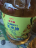 金龙鱼 食用油 非转基因 物理压榨玉米油6.18L（蕴含植物甾醇） 实拍图