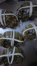 【活蟹】阳澄联合鲜活大闸蟹全母4.5-4.8两 10只生鲜螃蟹去绳足重海鲜礼盒 实拍图