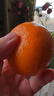 京鲜生 无核蜜桔 精选2斤装橘子/桔子  单果80g+ 生鲜水果 实拍图