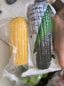 守望乡村（KEEP W-VILLAGE GO）新鲜东北玉米新甜糯鲜嫩玉米棒 真空包装 蔬菜苞米棒整箱装 【5黑5黄】10支 （总净重1600g以上） 实拍图