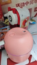 加湿器家用空气加湿器净化器香薰机空调房加湿器喷雾器usb静音卧室孕妇婴儿喷雾宿舍学生女生礼物 标准款【少女粉220ML+纳米雾化+静音加湿】 实拍图