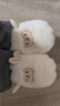细细条 情侣卡通可爱小绵羊棉拖鞋男女冬居家包跟防滑保暖防滑月子鞋ins 全包款奶油白 38-39 实拍图