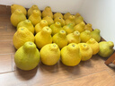 柚满园【纯甜不酸】梅州沙田柚子南福金柚正宗甜碌柚新鲜水果广东梅县 特大果带包装50斤13-17个 实拍图