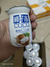 【网红甜品】椰子冻饮品布丁果味果冻 瓶装夏日休闲童年怀旧散装 椰子冻约65g*10瓶 实拍图
