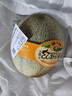 北纬23°西州蜜瓜约1.3kg 实拍图