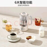 九阳（Joyoung）316L迷你养生杯养生壶煮茶器 0.6L办公室家用便携煮茶壶恒温烧水壶小型花茶壶K06D-WY530 实拍图