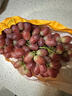 京觅四川无籽克伦生红提葡萄马奶新鲜水果水果无籽红提1.5斤 源头直发 实拍图