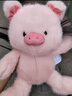名创优品（MINISO）福莉丝猪系列-乖乖坐姿公仔毛绒玩具玩偶抱枕娃娃生日礼物女 实拍图
