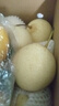 正宗河北鸭梨大果新鲜10斤脆甜梨子水果当季整箱包邮5斤赵县雪梨 特级鸭梨净重9斤 实拍图