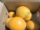 赣南脐橙 正宗赣南脐橙 江西赣州橙子手剥橙新鲜水果礼盒当季现摘时令生鲜 5斤优选单果170-220g净重4.5斤+ 实拍图