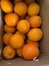 江西赣南早脐橙整箱当季新鲜早橙子榨汁水果礼盒皮薄多汁节日团购 【60%人选】净重18斤单个200g+ 实拍图