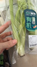 【有机】芹菜（西芹）400g 实拍图