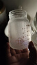 爱得利（evorie）新生婴儿玻璃奶瓶 小熊宽口径奶瓶初生宝宝专用 160ml (0-3个月) 实拍图