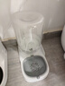 疯狂的主人猫咪狗狗饮水机猫粮全自动喂食器猫碗狗碗用品猫投喂宠物喝水神器 实拍图