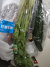 长黄瓜约600g 实拍图