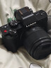 松下（Panasonic）Lumix G100D M43画幅相机 M43卡口 微单相机 无反数码相机 G100D单机+【25mmF1.7】单镜头定焦 实拍图
