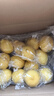 京鲜生 安岳黄柠檬16粒 单果95g-120g 生鲜水果 实拍图
