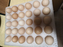 京鲜生 无抗保洁鲜鸡蛋30枚/盒 健康轻食 礼盒送礼 1.5kg/盒 源头直发 实拍图