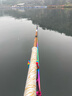 达亿瓦（DAIWA）一击 轻量鲤鱼鲫鱼草鱼罗非 进口鱼竿手杆 轻硬挺 休闲台钓 7.2m 一击T 72.K（大物） 不支持使用/试用后退换货 实拍图
