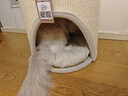 兽牌树洞剑麻桶猫窝猫抓板一体剑麻猫爬架双层大猫屋半封闭式冬季保暖 燕麦奶白丨双层剑麻桶 实拍图