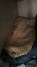 蕉内棉棉301H情侣居家T恤男女士100%纯棉无侧缝宽松圆领短袖睡衣夏季 【男士上衣】浅岩棕 L 实拍图