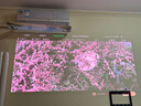极米Z9X 4K 全新轻薄4K光学变焦投影 1300CVIA真实高亮 家用智能投影仪高清家庭影院云台 国家补贴 实拍图
