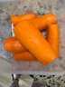 有机汇有机胡萝卜 自有农场新茬沙地胡萝卜 新鲜有机无农残 宝宝辅食 500g 实拍图