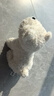babycare&bct儿童毛绒玩具狗电子宠物哈基米玩偶节日生日圣诞礼物西高地犬 实拍图