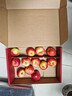 京鲜生Mr Apple新西兰皇后红玫瑰苹果12粒礼盒单果130-150g源头直发包邮 实拍图