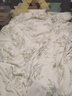 艾薇牛奶绒被套双人家用加厚法兰绒加绒被罩单件 仙草绒 200*230cm 实拍图