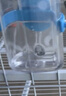 波奇多 滚珠式饮水器350ml挂式宠物喝水猫狗航空箱水壶笼子喝水器不湿嘴 实拍图