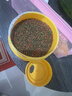 吉品红鱼食小型鱼饲料孔雀鱼凤尾鱼红绿灯斗鱼金鱼观赏鱼热带鱼粮250ML 实拍图