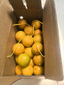 青舞正宗广东德庆皇帝柑贡柑新鲜水果精选大果非沃橙橘桔子装孕妇水果 10斤礼盒装精选大果（净9.2斤） 实拍图