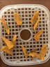 京严烘干机食品果蔬干果机小型家用食物水果烤干器宠物零食肉干风干箱 【高效烘干｜超长定时】蓝色 5层加大容量｜可定时免看管 实拍图