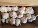 京鲜生河南杞县大蒜带皮新鲜干蒜带箱2斤 单果4.5-5cm 源头直发包邮 实拍图