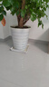 九千谷 大花盆客厅落地大号螺纹款白色1个装 大型绿植口径25*高30cm3828 实拍图