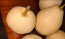 正宗河北鸭梨大果新鲜10斤脆甜梨子水果当季整箱包邮5斤赵县雪梨 特级鸭梨净重9斤 实拍图