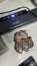 佳帮手全自动真空封口机【液晶数显】封口机+真空袋60只家用食品打包塑封包装机腊肉腊肠真空压缩神器 实拍图
