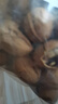 新疆特产2025新货纸皮烤核桃椒盐味薄皮核桃手剥炒熟的核桃坚果 500g/袋 实拍图