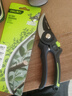 得力（deli）修枝剪刀树枝剪 SK5钢双档开口果树剪花枝剪盆栽花卉园艺修枝神器 实拍图