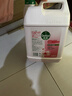 滴露（Dettol）洗手液补充装大桶消毒滋润5L 儿童家庭装杀菌护手 实拍图